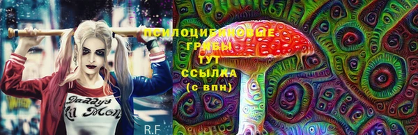 молекула духа Осинники