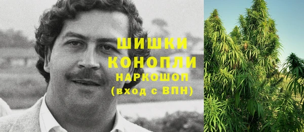 молекула духа Осинники