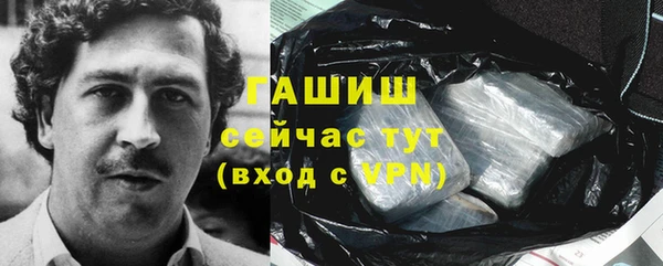 молекула духа Осинники