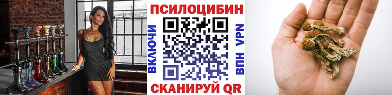 Купить где  Хабаровск  Галлюциногенные грибы прущие грибы 