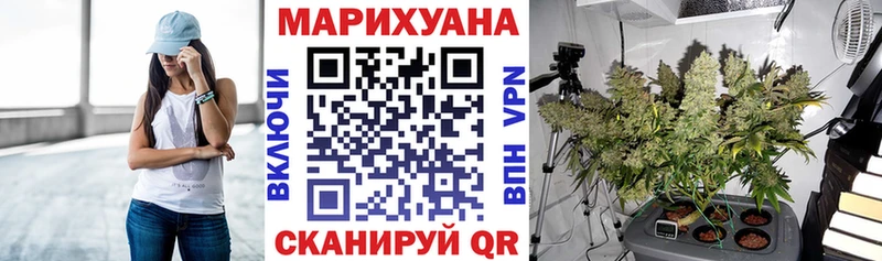 Купить  Хабаровск  МАРИХУАНА SATIVA & INDICA 